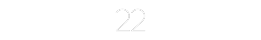 Individuelles Neon: 22