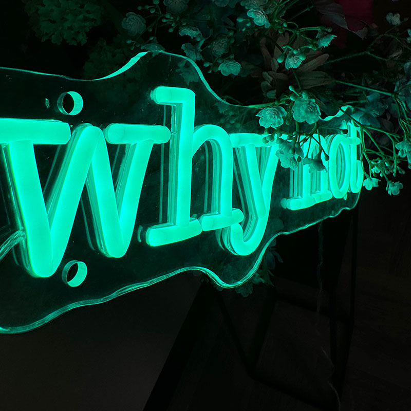 Neon Schild Why Not