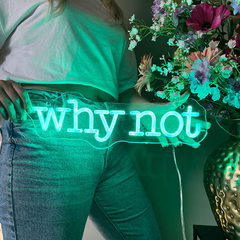 Neon Schild Why Not