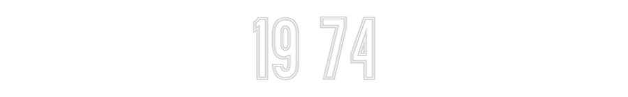 Individuelles Neon: 19 74