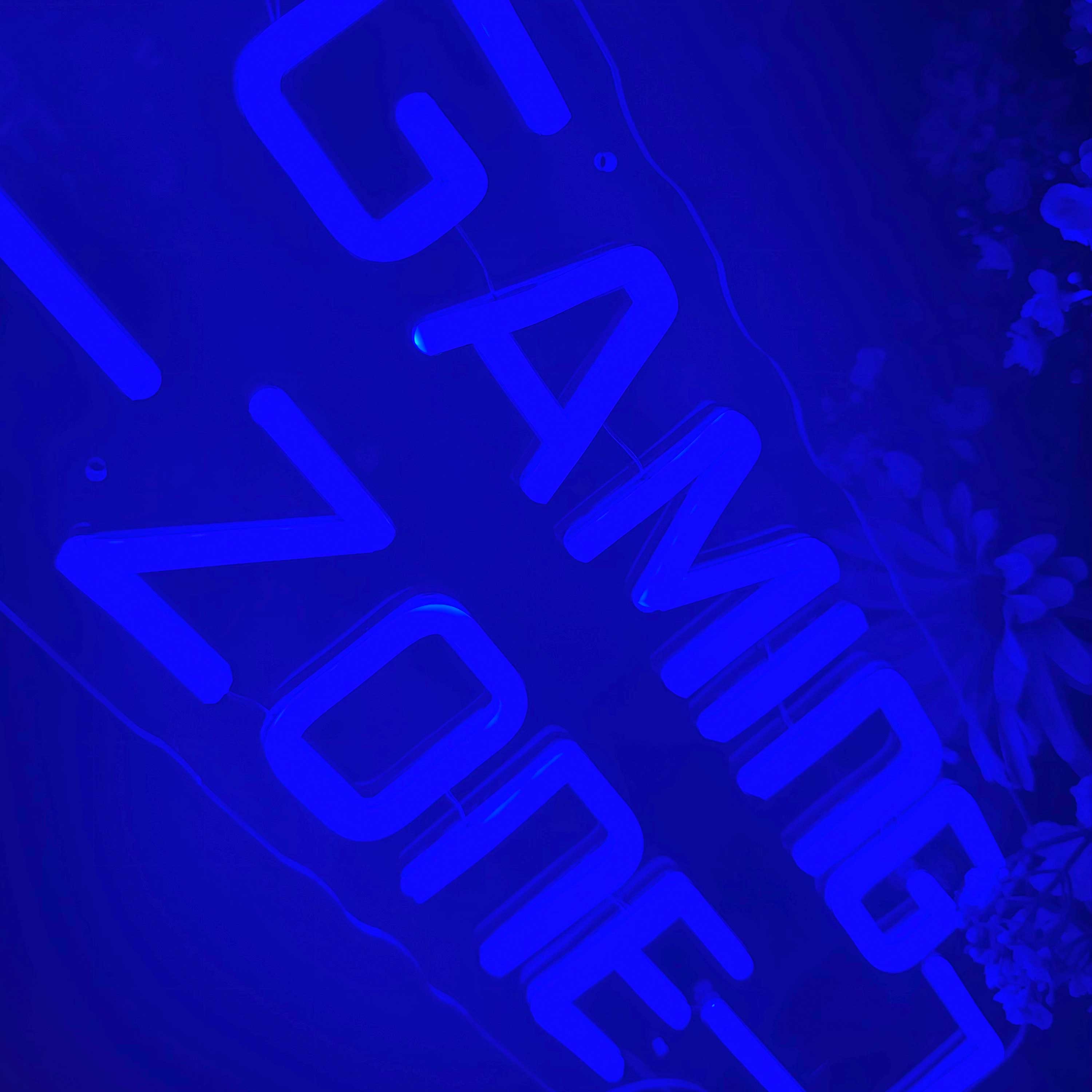 Neon Schild Gaming Zone