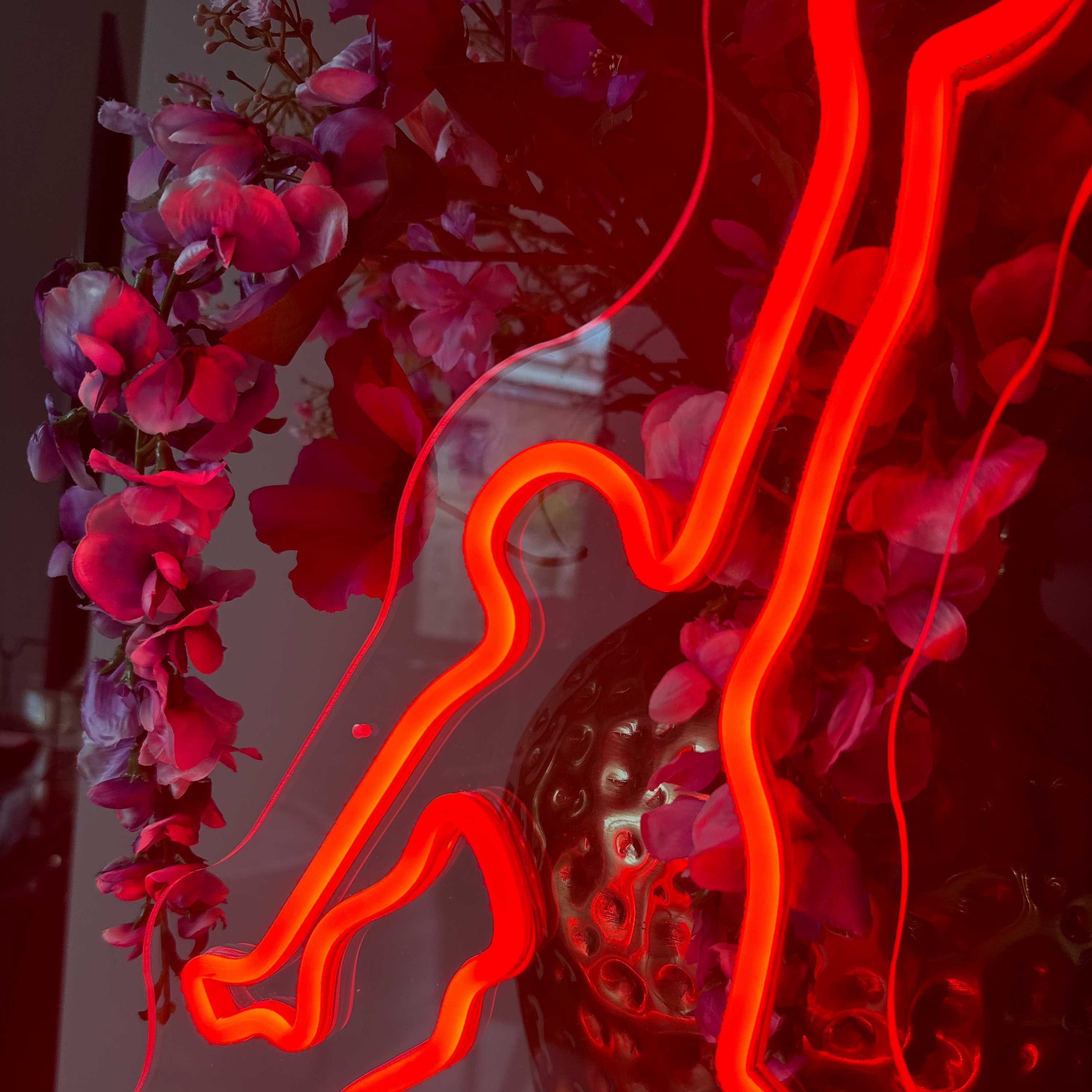 Neon Schild Jordanien