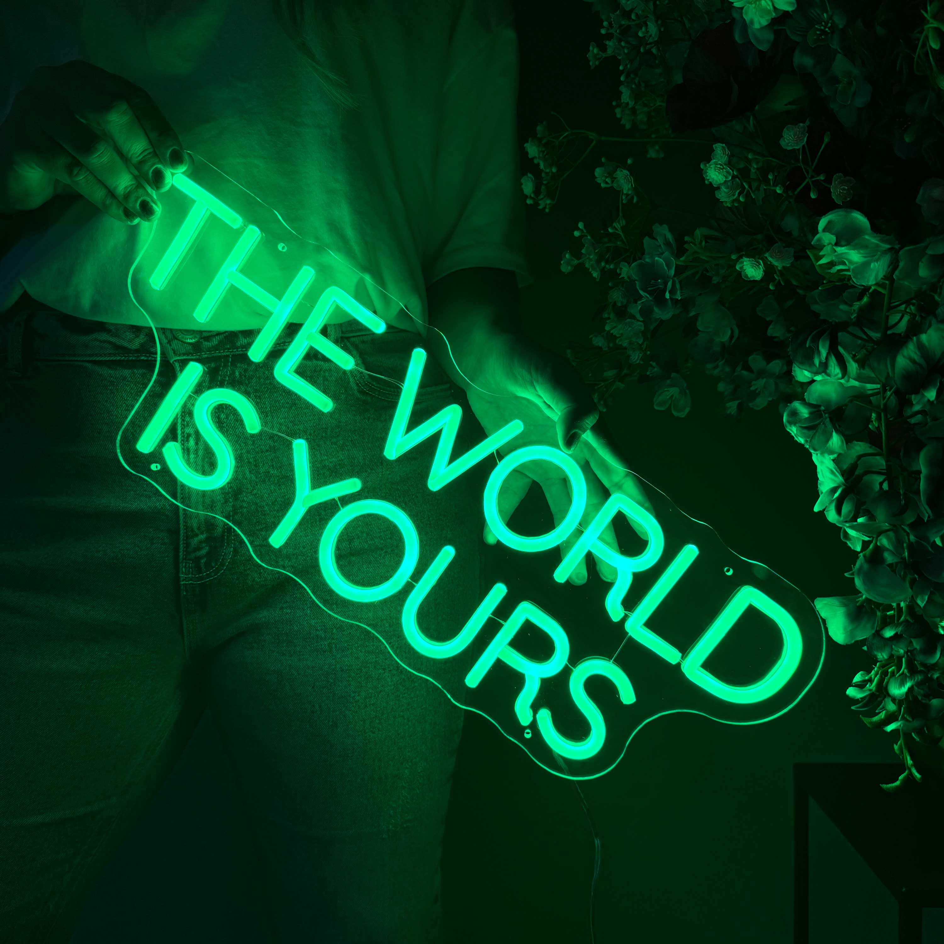 Neon Schild The World Is Yours