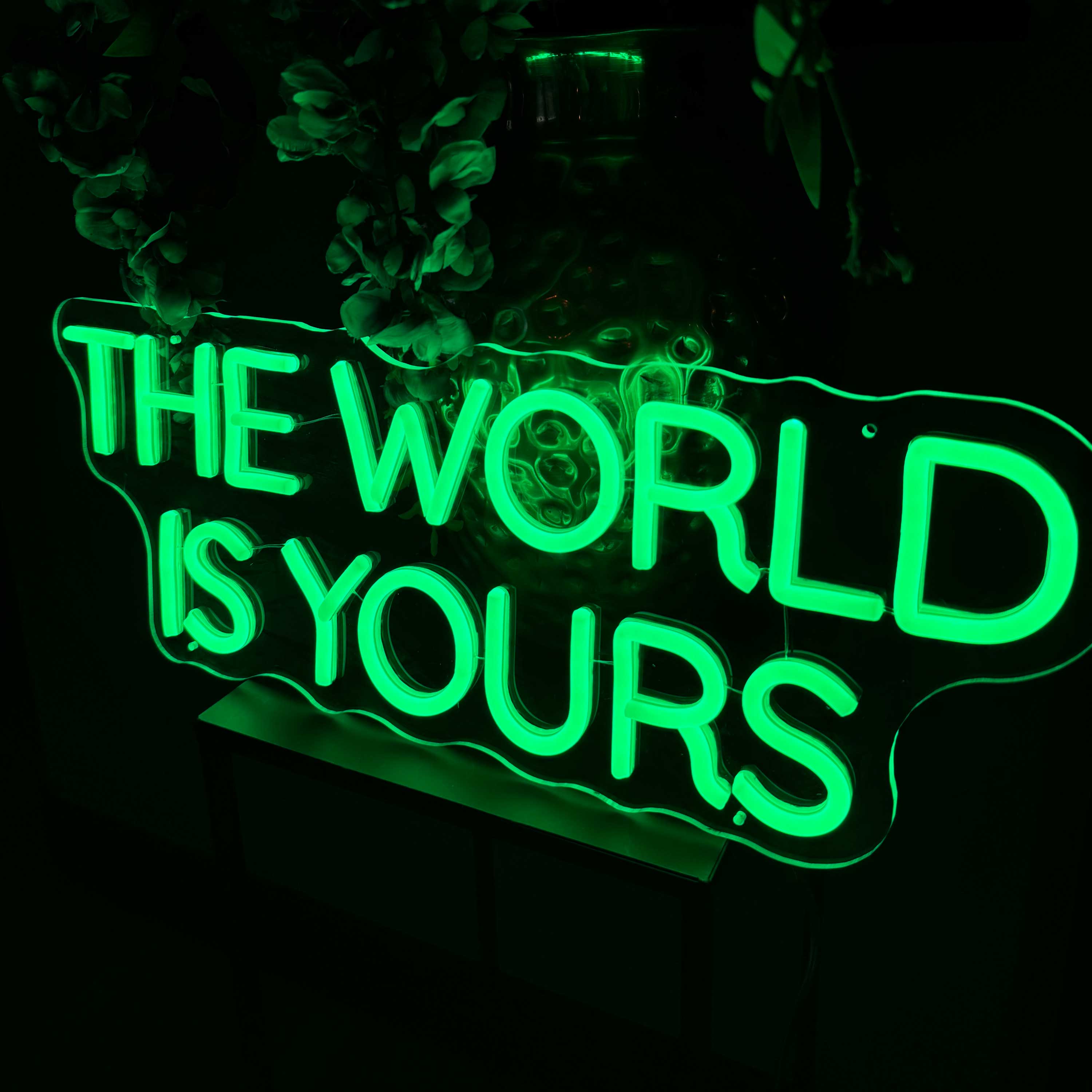 Neon Schild The World Is Yours