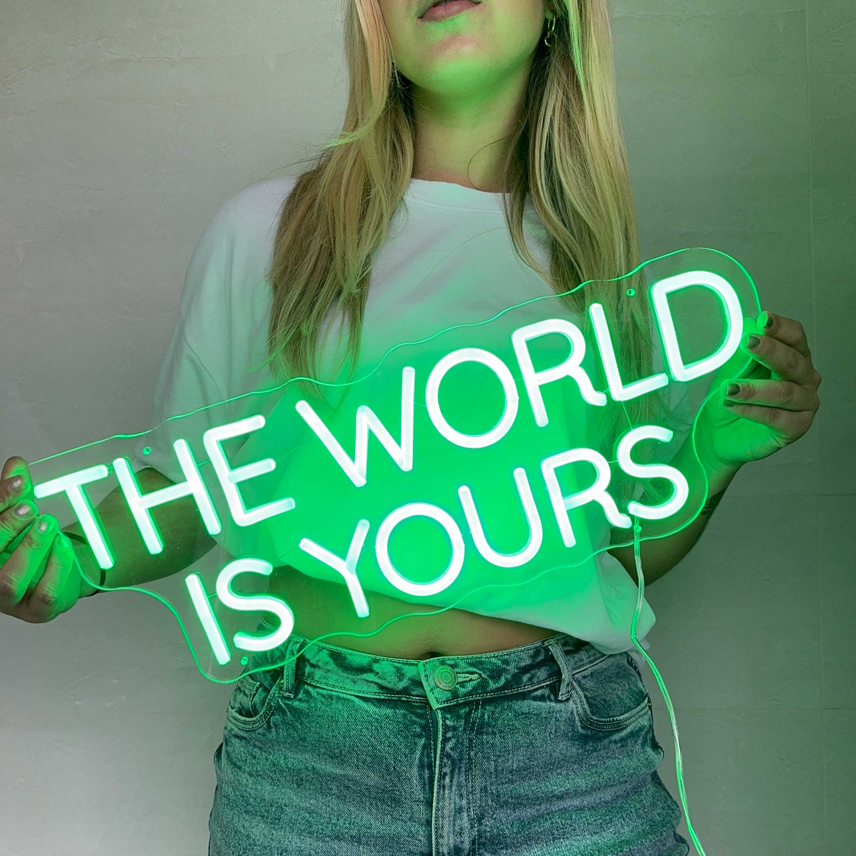 Neon Schild The World Is Yours
