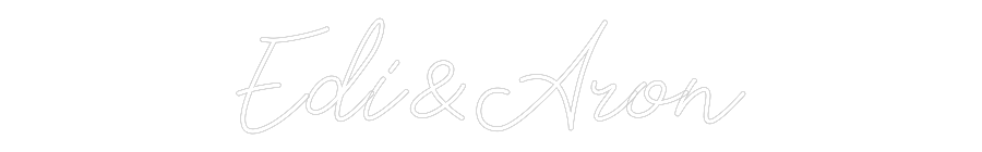 Individuelles Neon: Edi&Aron