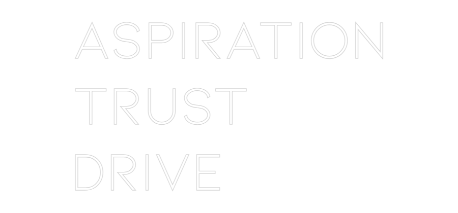 Individuelles Neon: Aspiration
T...