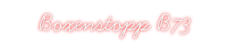 Individuelles Neon: Boxenstopp B73