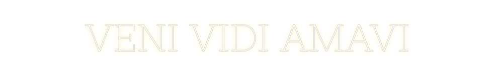 Individuelles Neon: VENI VIDI AMAVI