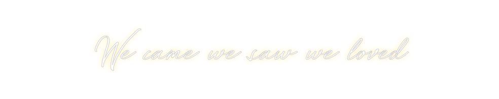 Individuelles Neon: We came we sa...