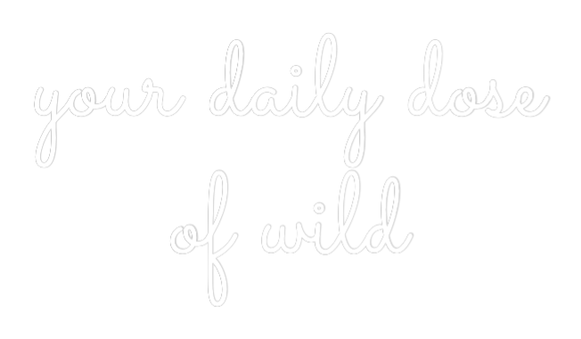 Individuelles Neon: your daily do...