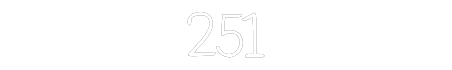 Individuelles Neon: 251