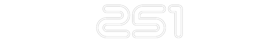 Individuelles Neon: 251