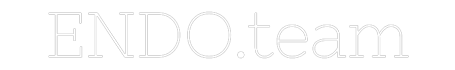 Individuelles Neon: ENDO.team