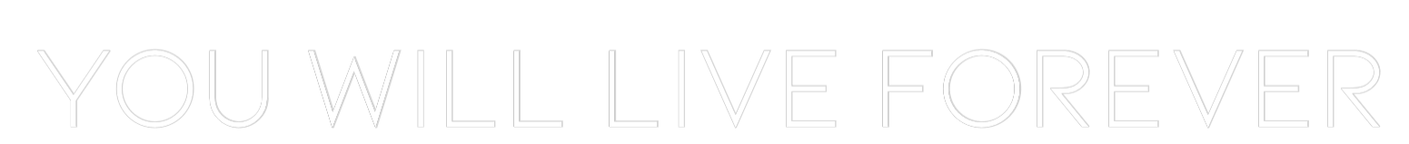 Individuelles Neon: you will live...