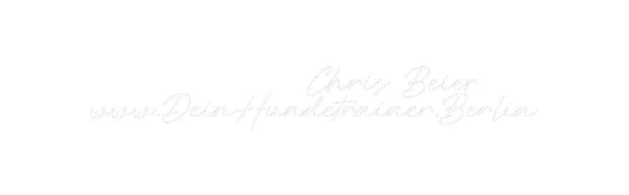 Individuelles Neon: ...