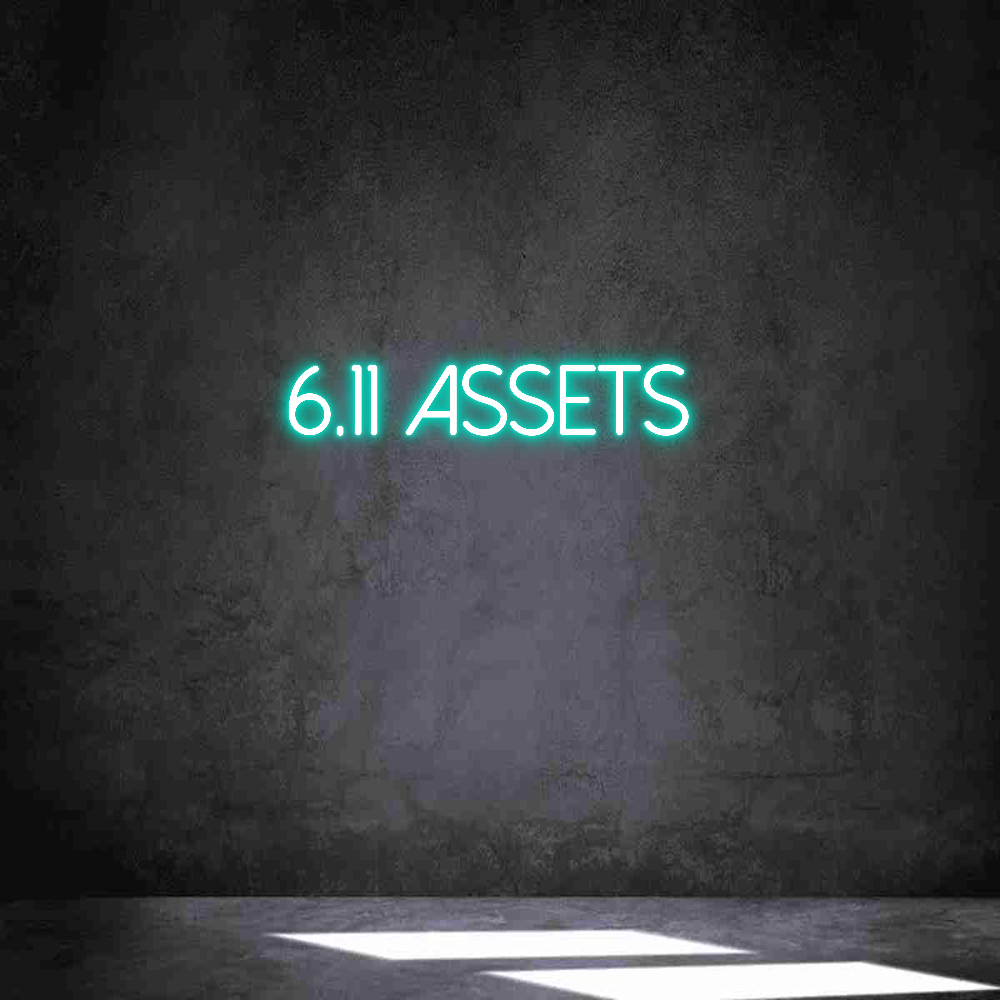 Individuelles Neon: 6.11 ASSETS