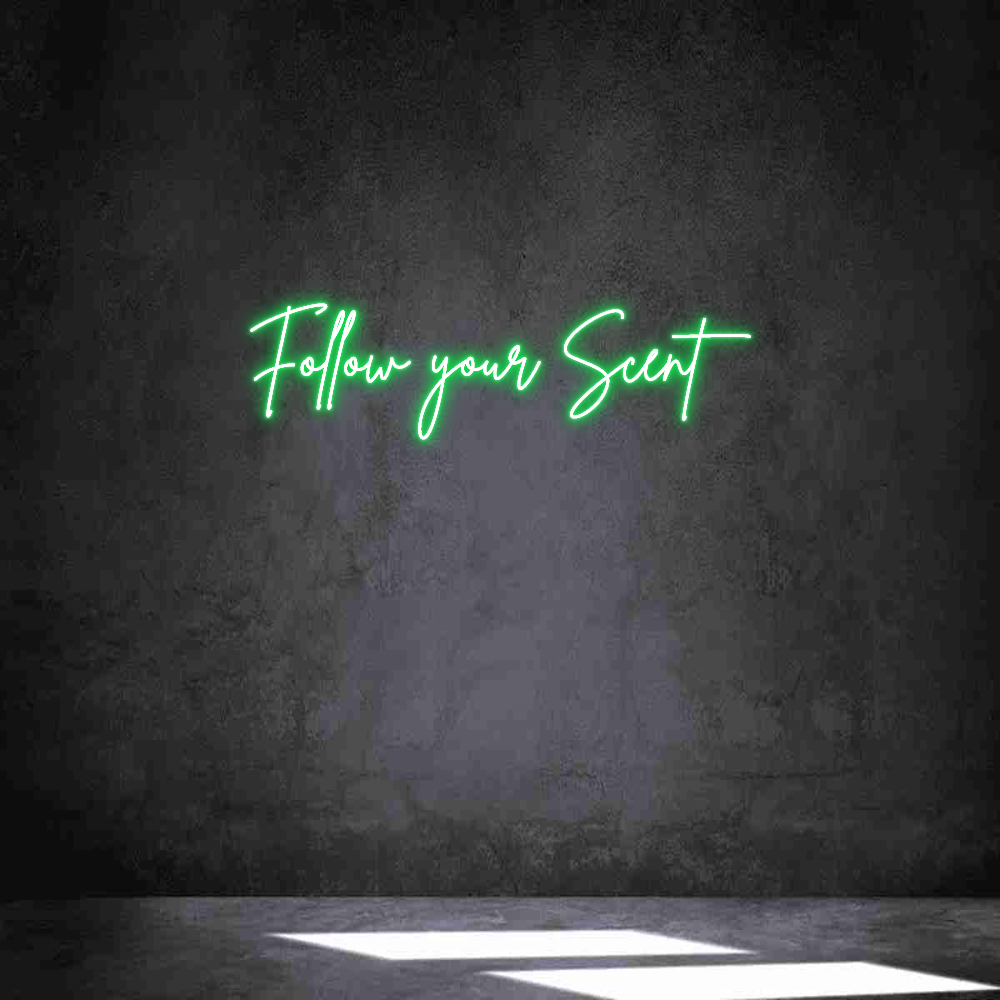 Individuelles Neon: Follow your S...