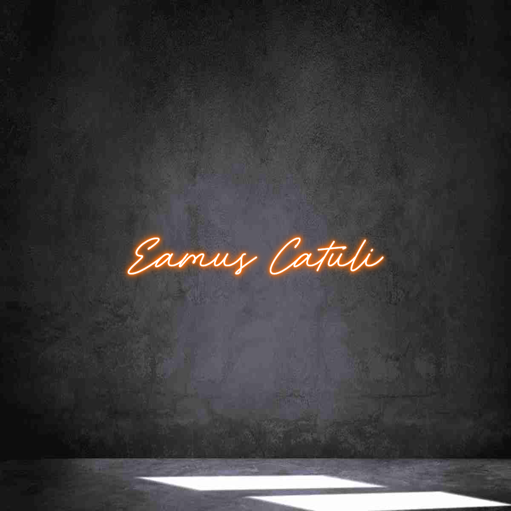 Individuelles Neon: Eamus Catuli