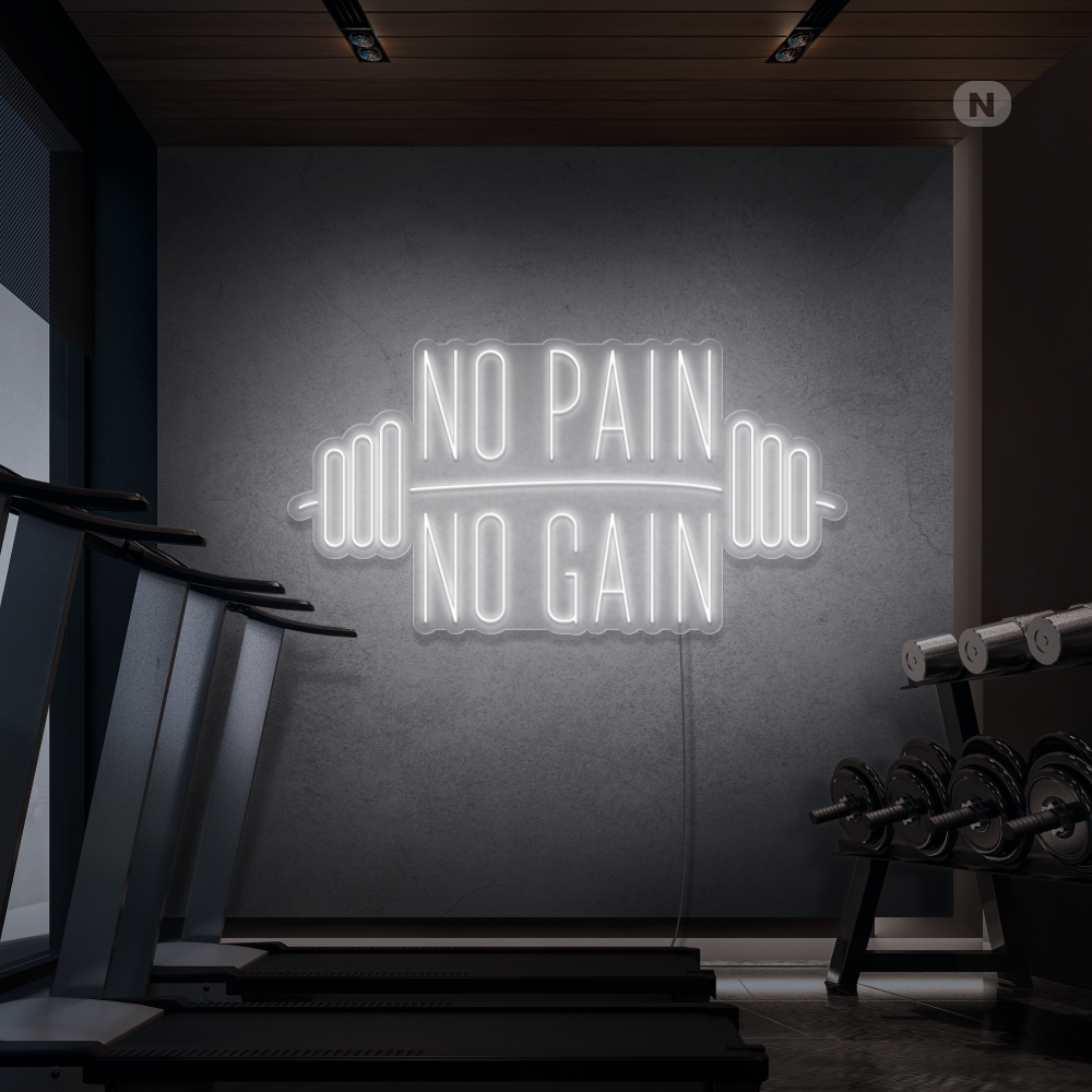 Neon Schild No Pain No Gain