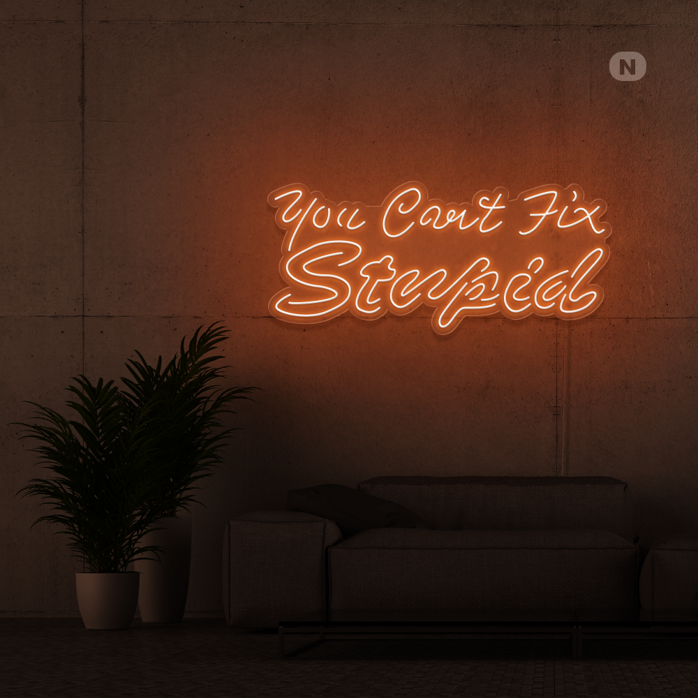 Neon Schild you can't fix stupid