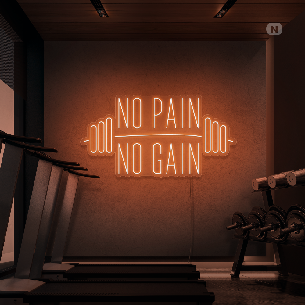 Neon Schild No Pain No Gain