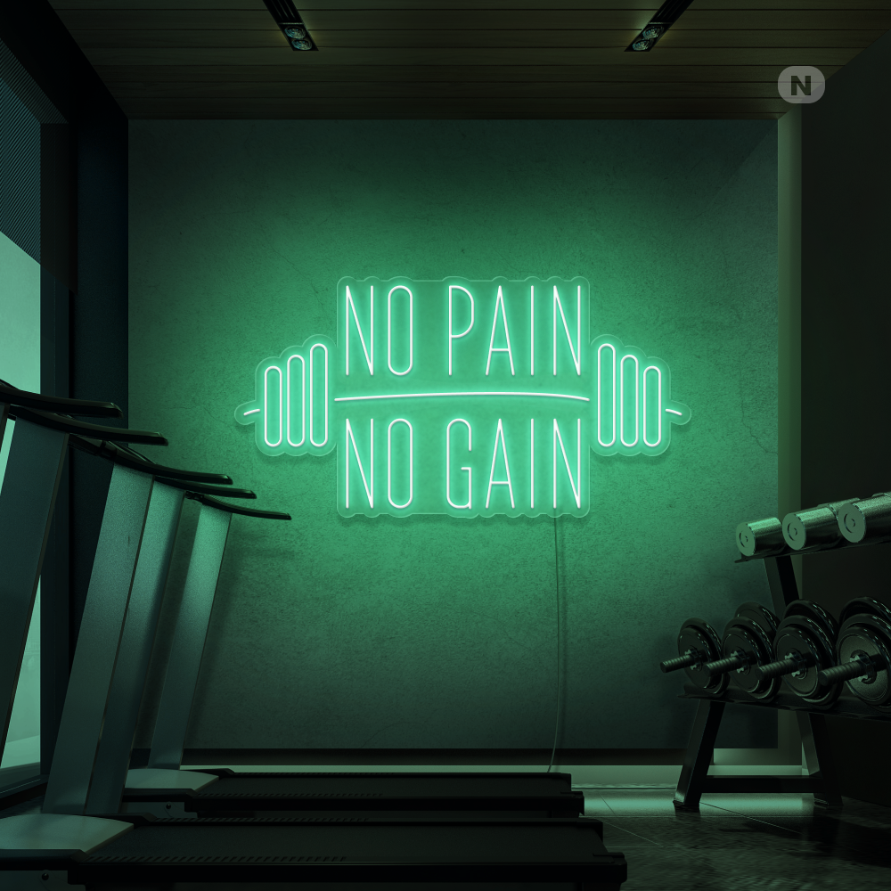Neon Schild No Pain No Gain