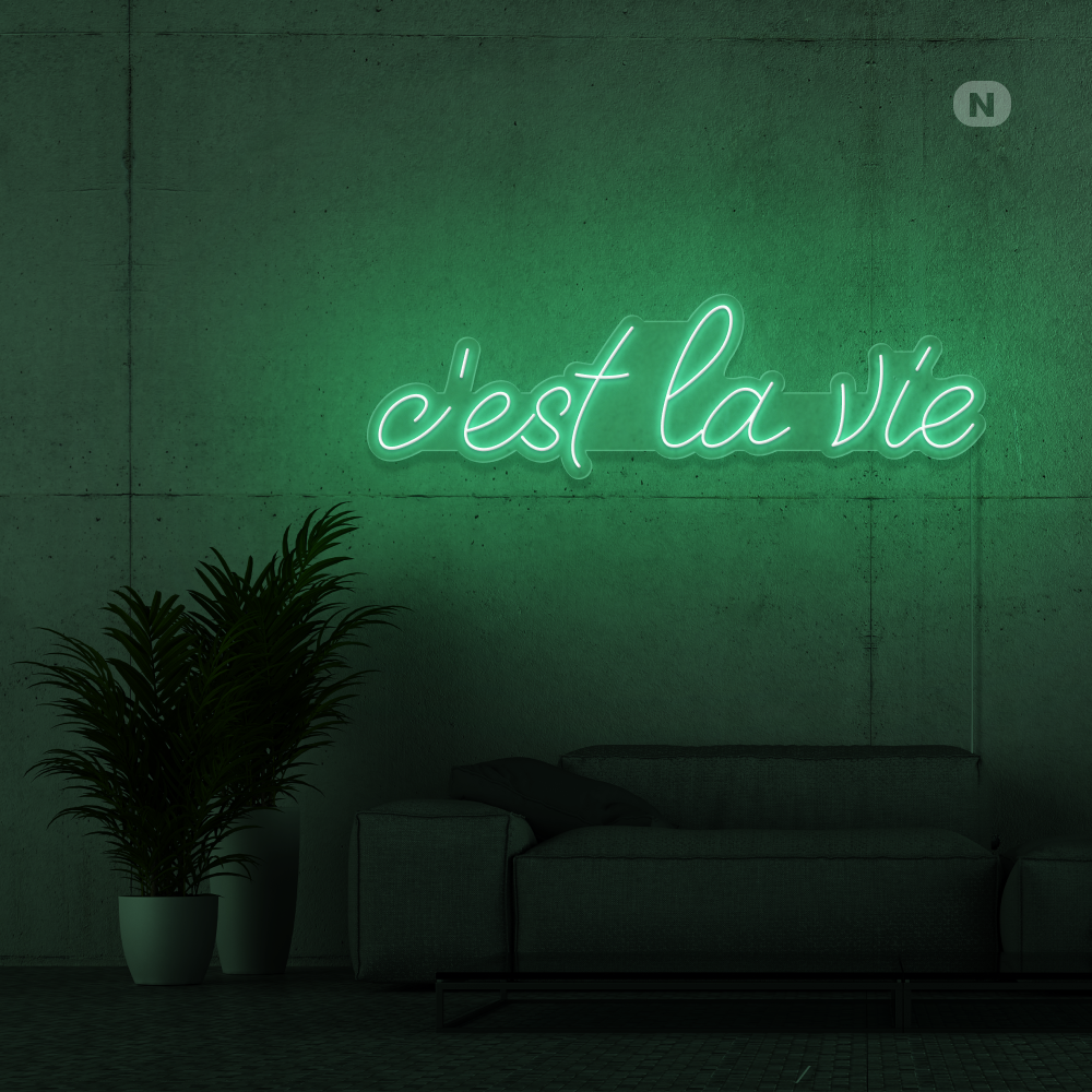 Neon Schild c'est la vie