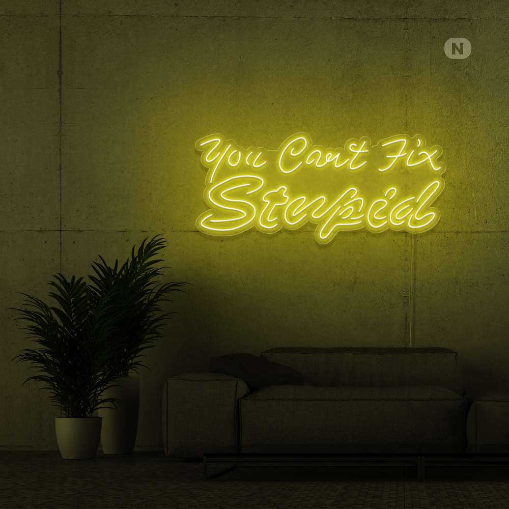 Neon Schild you can't fix stupid