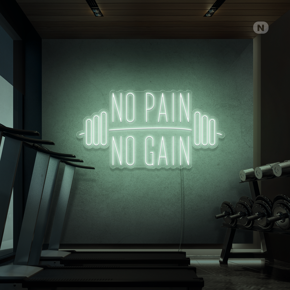 Neon Schild No Pain No Gain