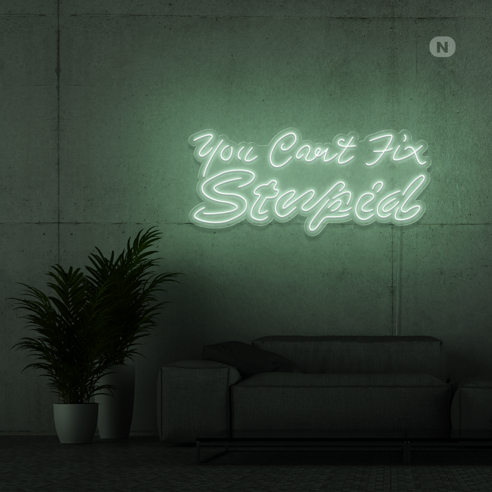 Neon Schild you can't fix stupid