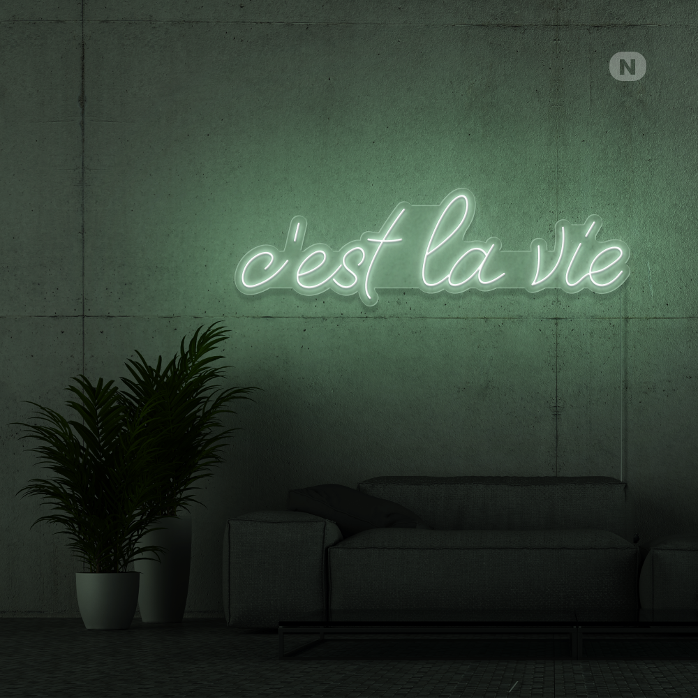 Neon Schild c'est la vie