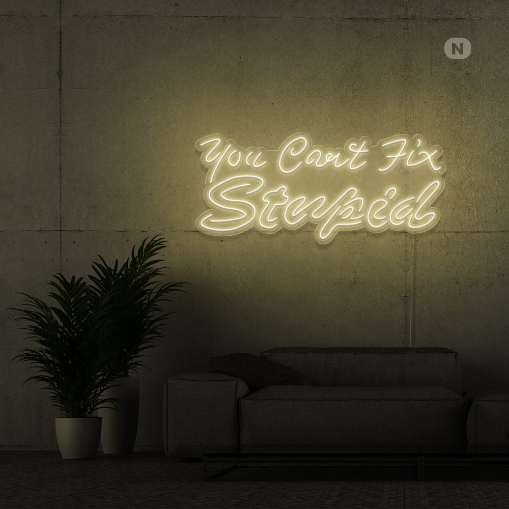 Neon Schild you can't fix stupid