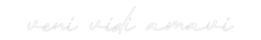 Individuelles Neon: veni vidi amavi