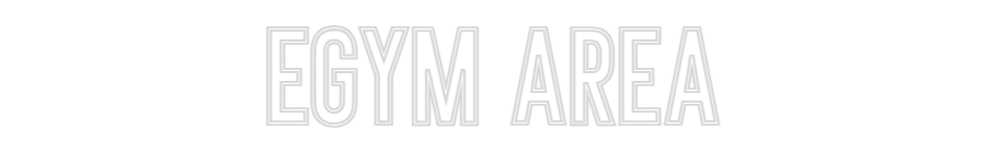 Individuelles Neon: EGYM AREA