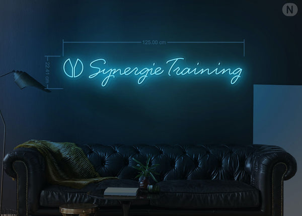 Synergie Training