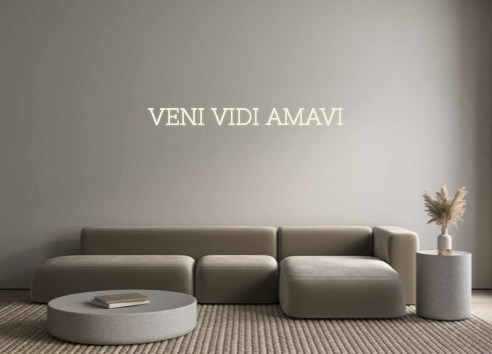 Individuelles Neon: VENI VIDI AMAVI