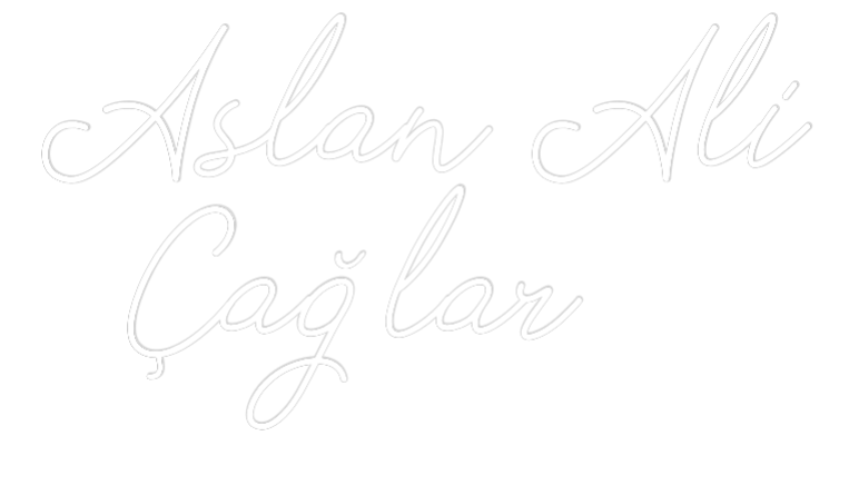 Individuelles Neon: Aslan Ali
  ...