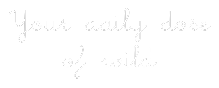 Individuelles Neon: Your daily do...