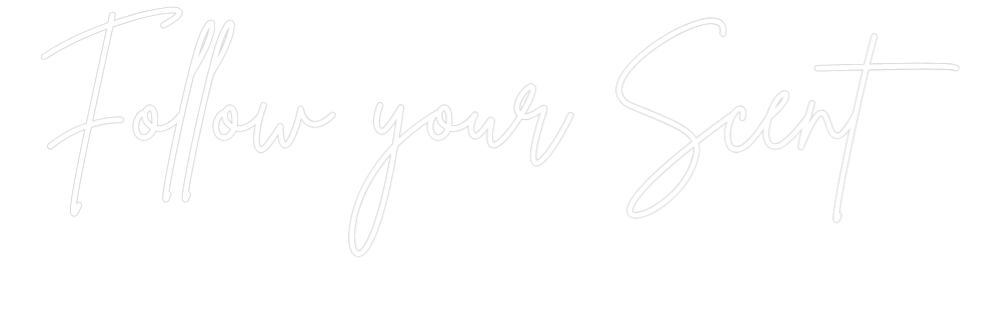 Individuelles Neon: Follow your S...