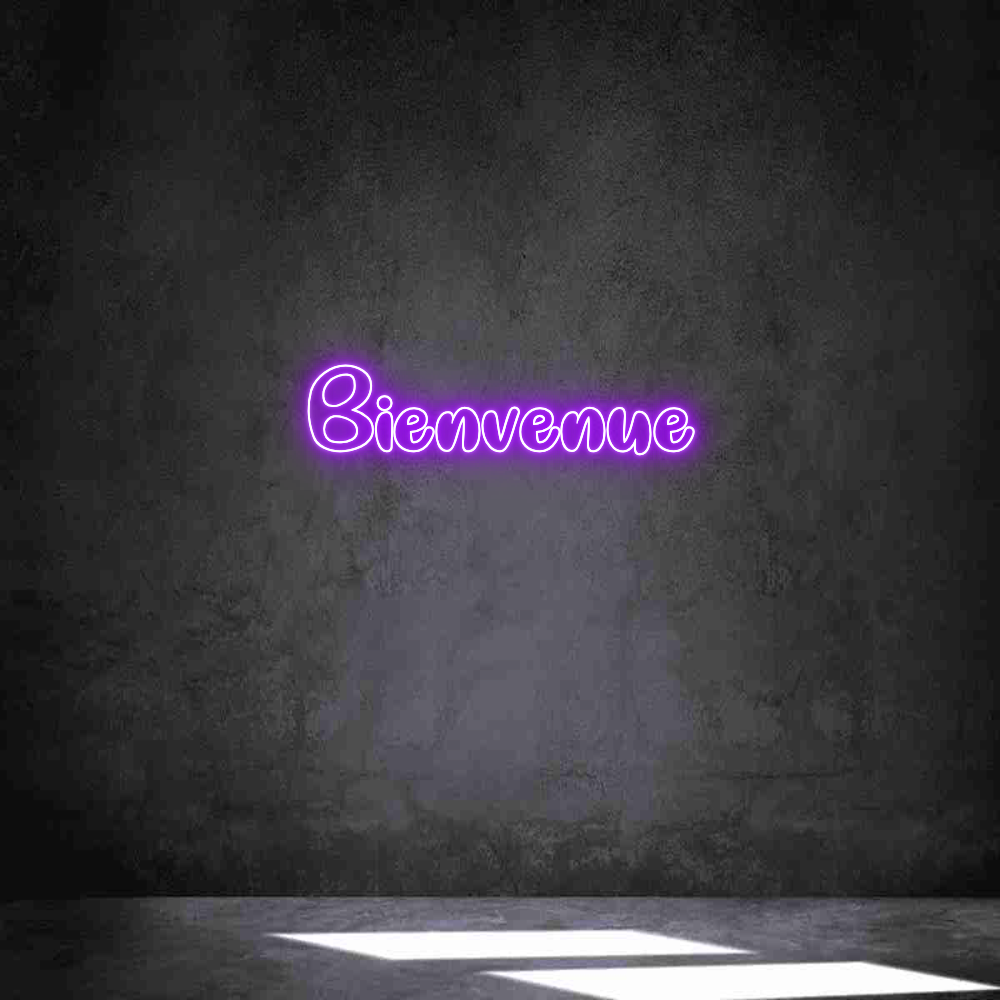 Individuelles Neon: Bienvenue