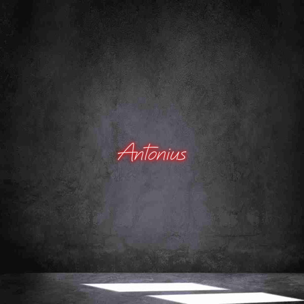 Individuelles Neon: Antonius