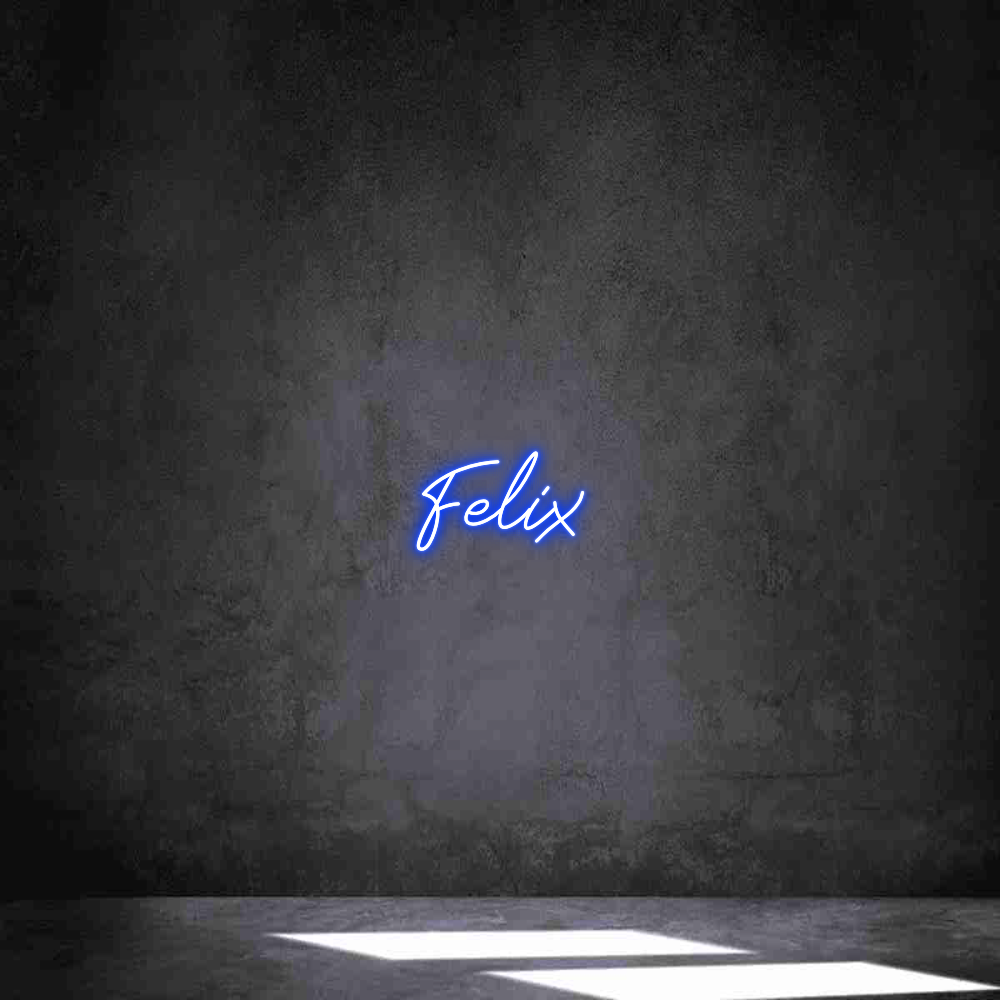 Individuelles Neon: Felix