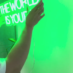 Neon Schild The World Is Yours