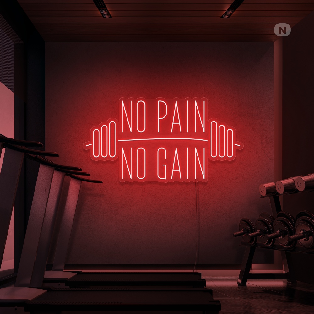 Neon Schild No Pain No Gain